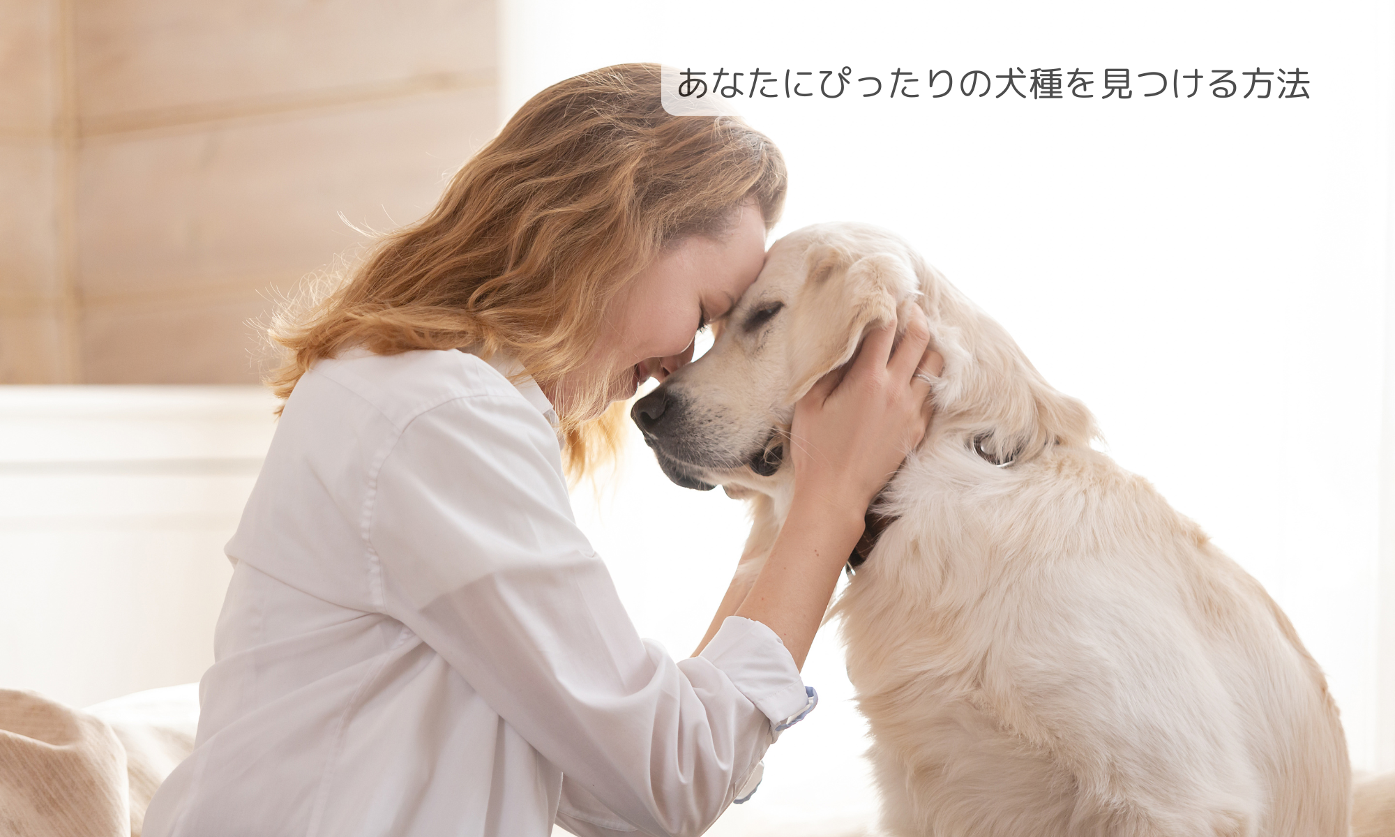 あなたにぴったりの犬種を見つける方法