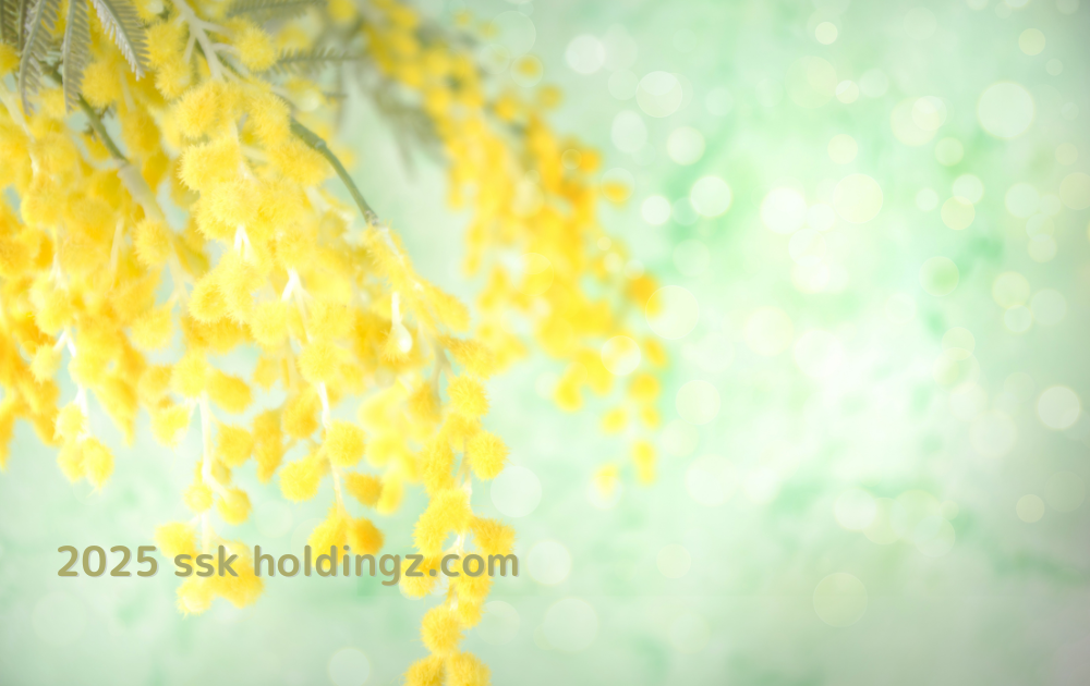 「続・続・最後から二番目の恋」に見る、私たちの今とこれから